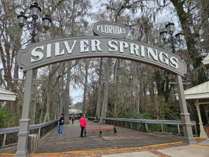20240205 - Silver Springs State Park