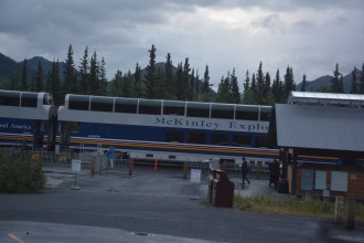 Day #12 - Yukon & Alaska Land & Sea Cruise